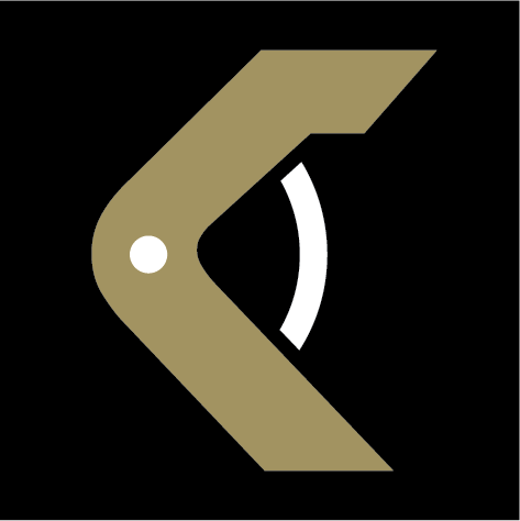 VIKASO Logo